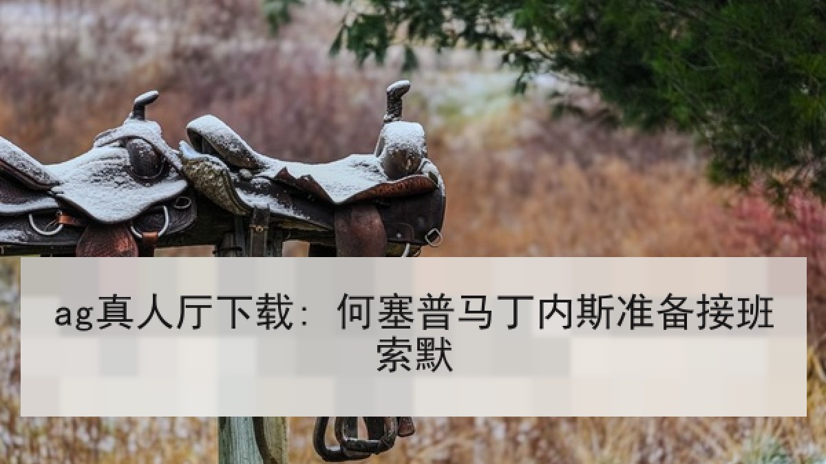 ag真人厅下载: 何塞普马丁内斯准备接班索默