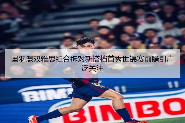 国羽混双雅思组合拆对新搭档首秀世锦赛前瞻引广泛关注