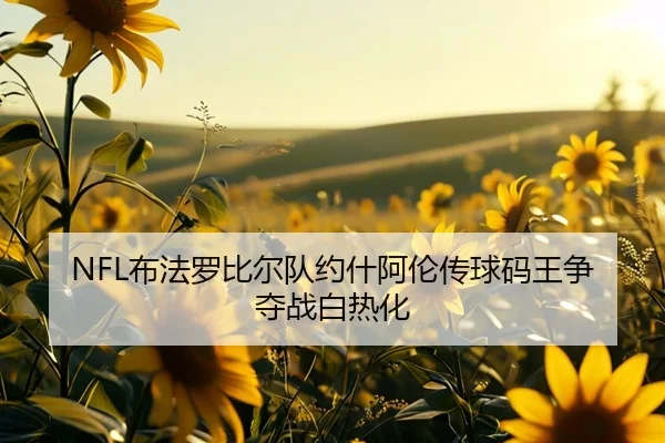NFL布法罗比尔队约什阿伦传球码王争夺战白热化