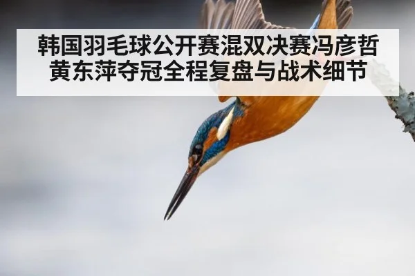 韩国羽毛球公开赛混双决赛冯彦哲黄东萍夺冠全程复盘与战术细节